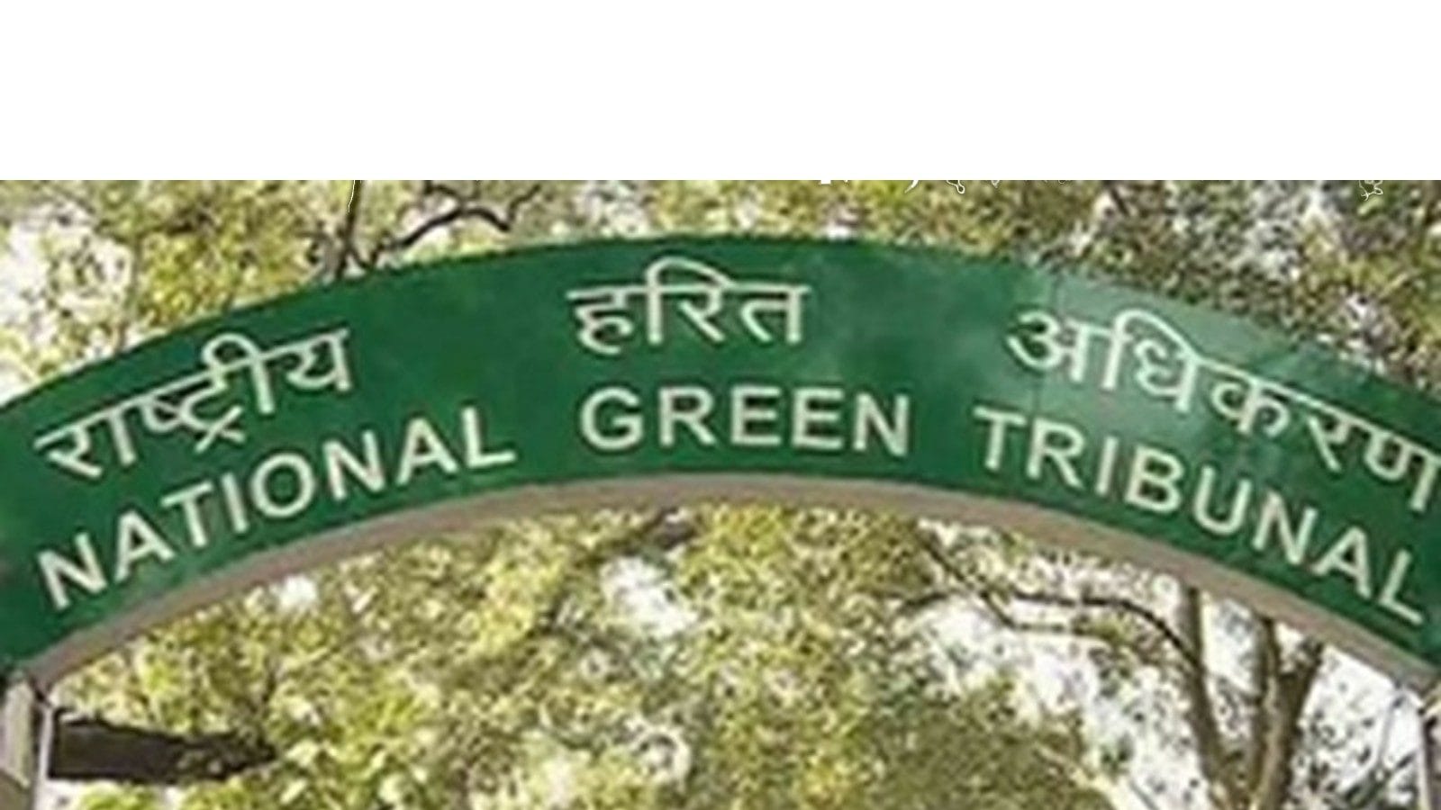  National Green Tribunal Grants Final Opportunity to Cricket Stadiums to Respond on Groundwater Use