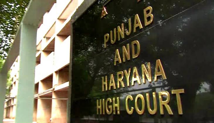 Punjab and Haryana High Court Affirms Autonomy for Family Courts, Unbound by CPC Technicalities