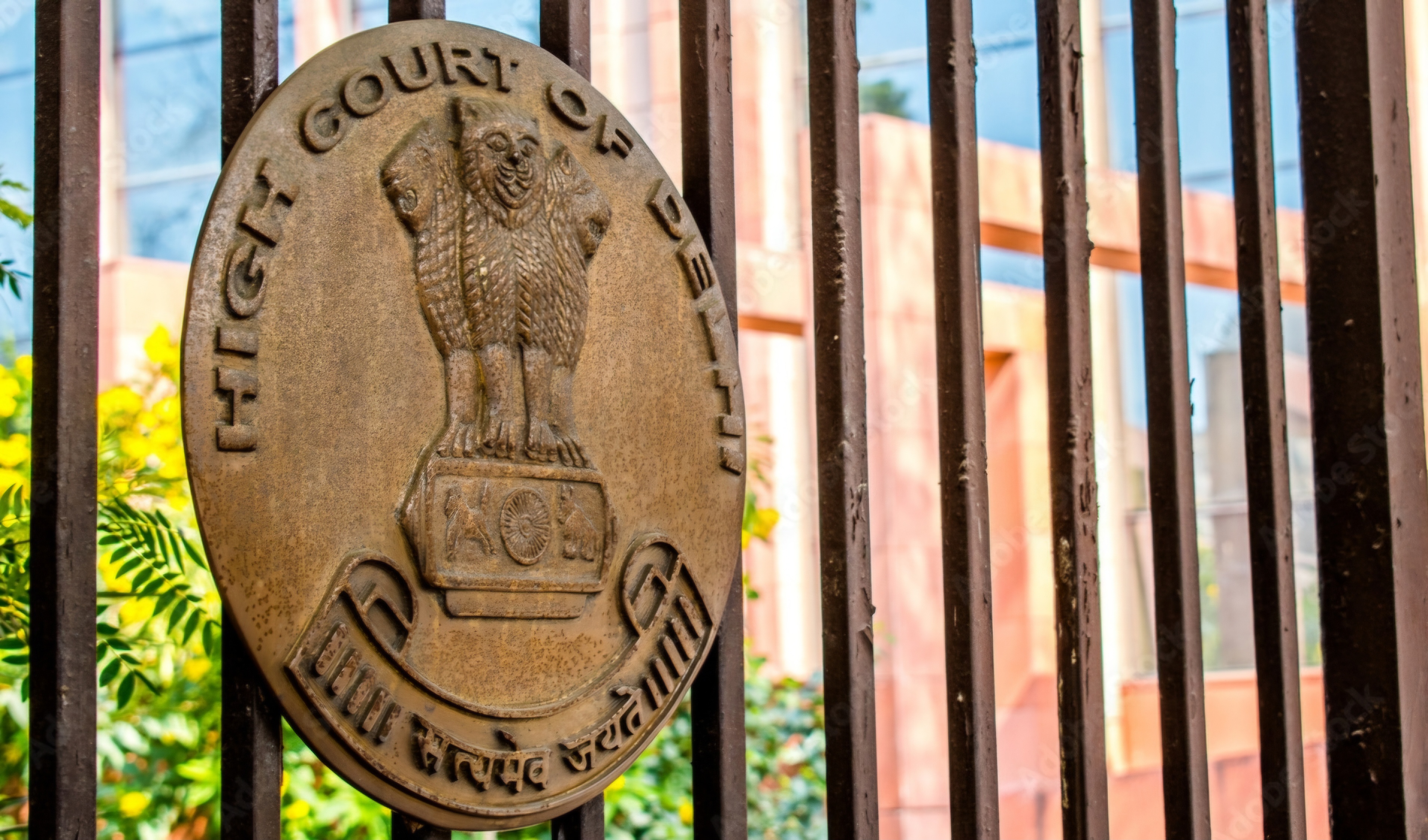 Delhi High Court Denies Petitioner's Claim for Alternative Plot