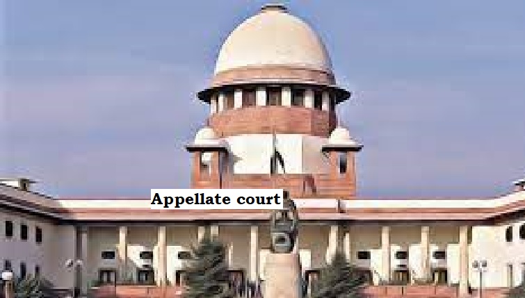  Appellate court: Favor accused with doubt if alternative trial view exists.
