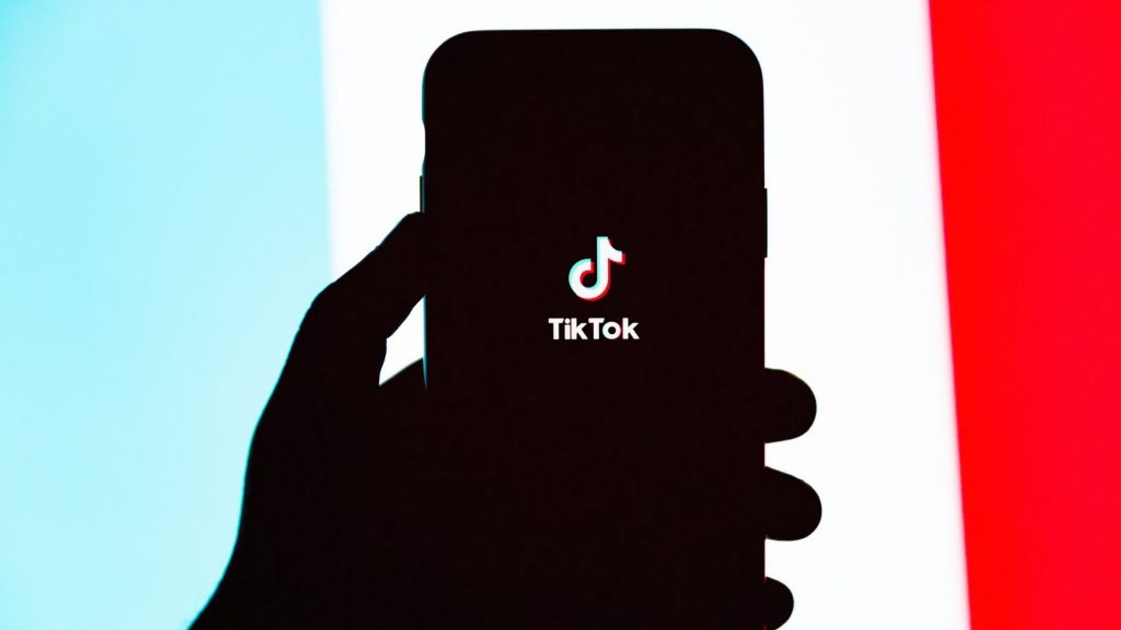 TikTok Challenges US Ban in Court, Calls Law Unconstitutional