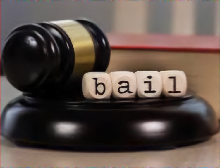 Delhi High Court Grants Bail to Accused in 2019 Abduction and Murder Case