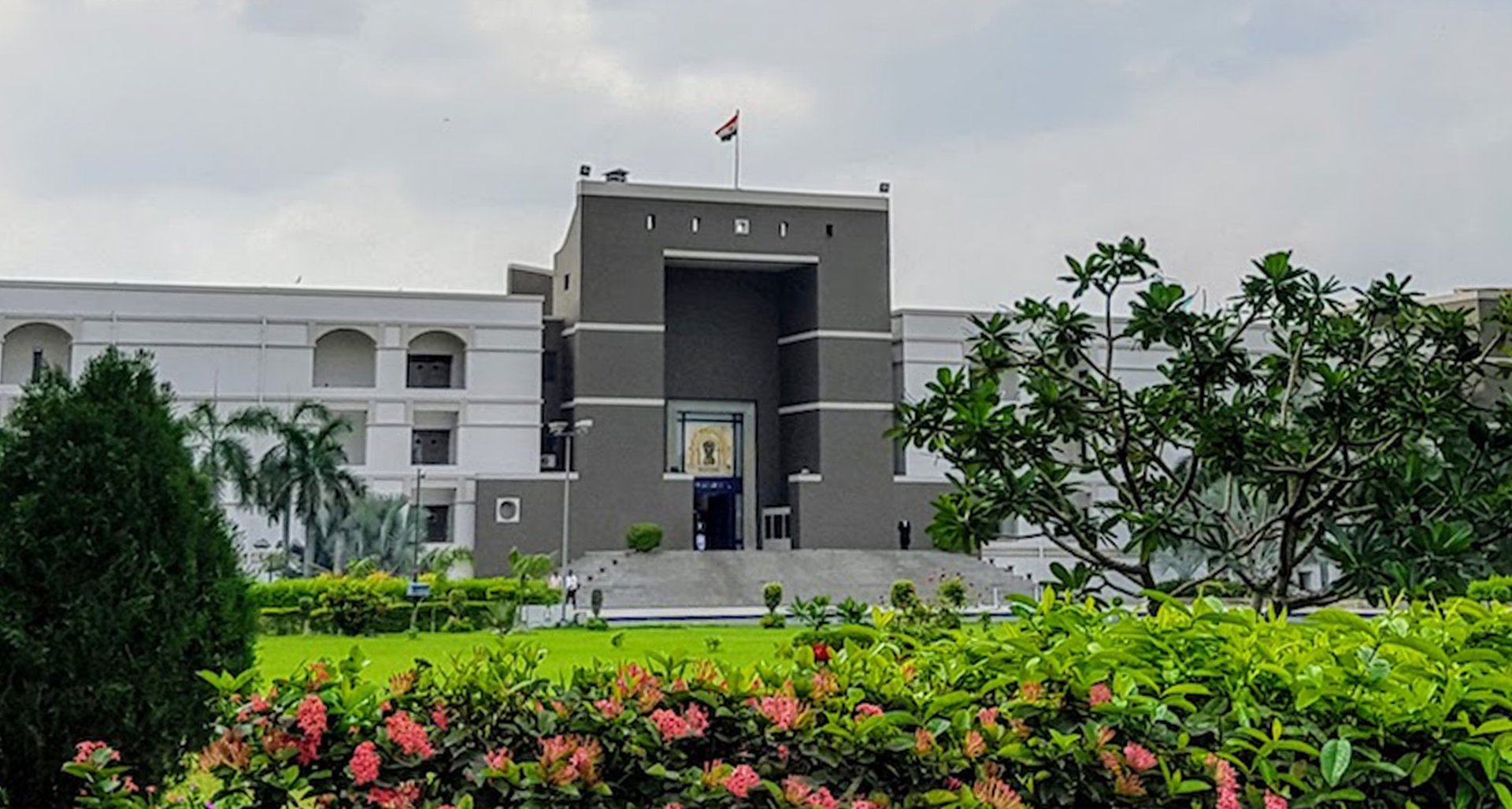  Gujarat High Court Rebukes Forest Department and Railways Over Lion Deaths