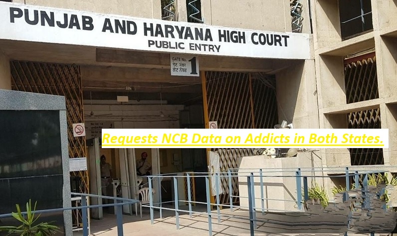  P&H High Court Proactively Addresses Punjab Drug Trafficking, Requests NCB Data on Addicts in Both States.