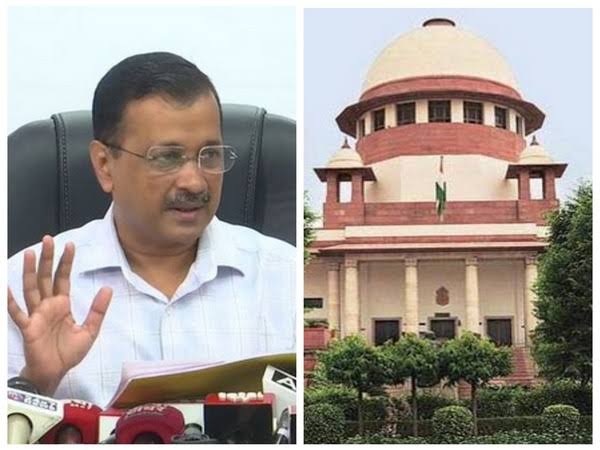 Delhi High Court: Municipal Authorities Not Expected to Eradicate All Stray Animals
