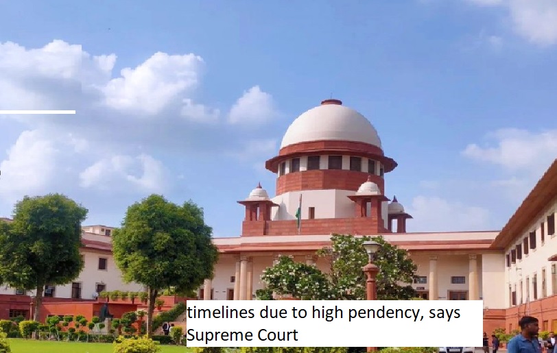 Constitutional courts must refrain from setting case timelines due to high pendency, says Supreme Court.