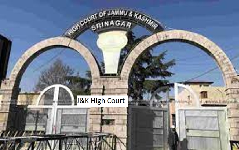 J&K High Court requires concise daily reports on specific activities justifying preventive detention.