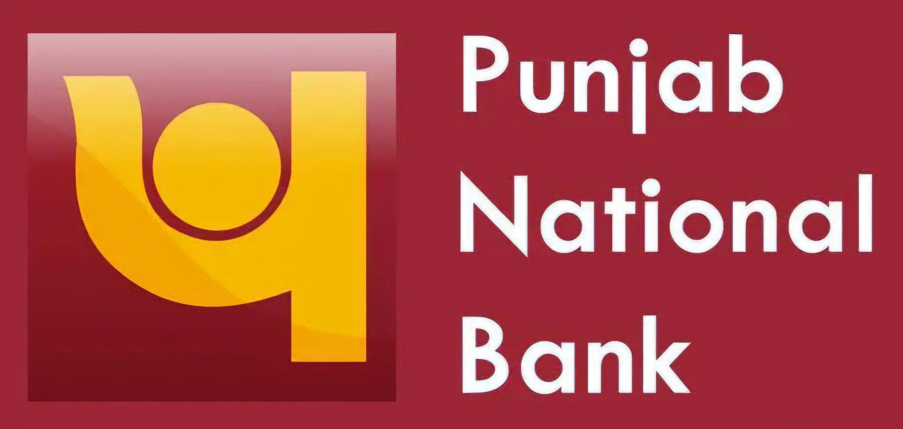 Delhi High Court Quashes PNB’s “Fraud” Classification of Paras Lubricants Account