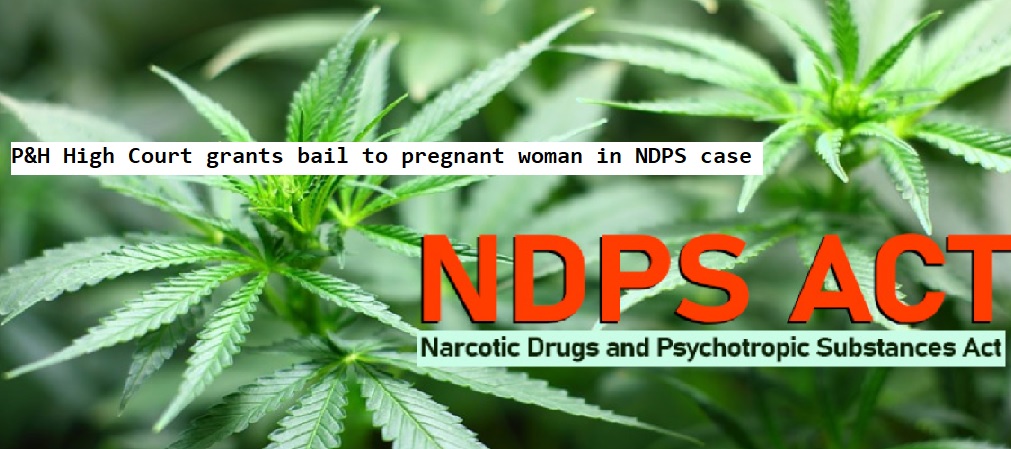  P&H High Court grants bail to pregnant woman in NDPS case, considering offense gravity can be ignored for now.