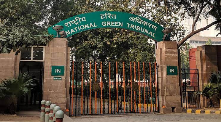 NGT Takes Cognisance Based on Northeast Now News Report