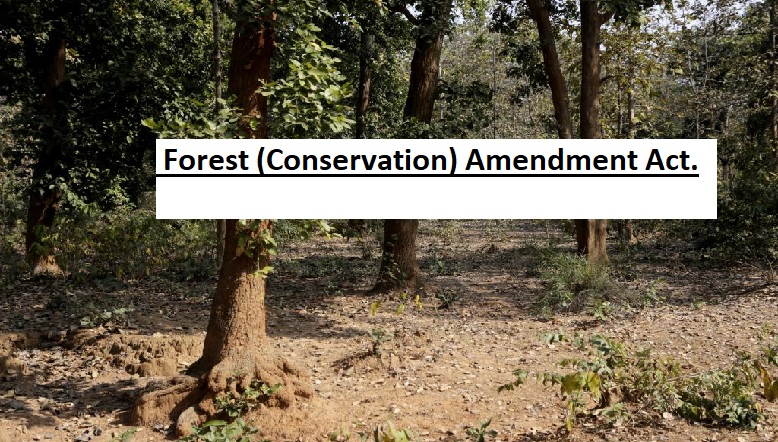 Supreme Court serves notice in retired civil servants' plea against the 2023 Forest (Conservation) Amendment Act.